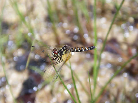 c0002874_21342166.jpg