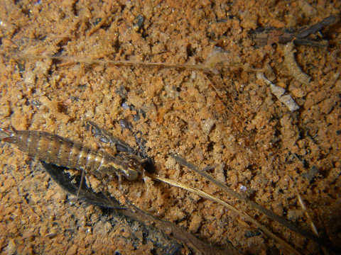 c0002874_21344117.jpg