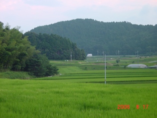 お散歩　田園コース_f0024376_21583529.jpg