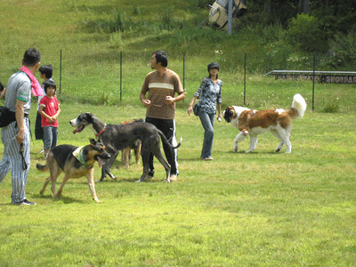 f0032194_20391911.gif