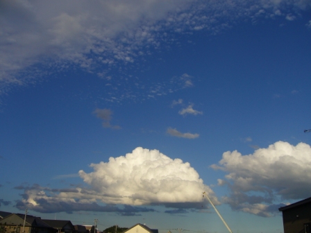 雷雨のあとに浮(ふ)わり_c0062295_2148522.jpg