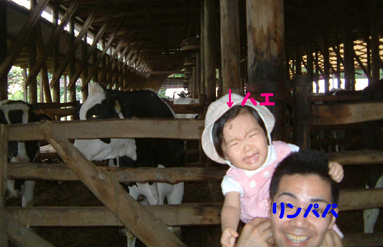 d0043798_13155673.jpg
