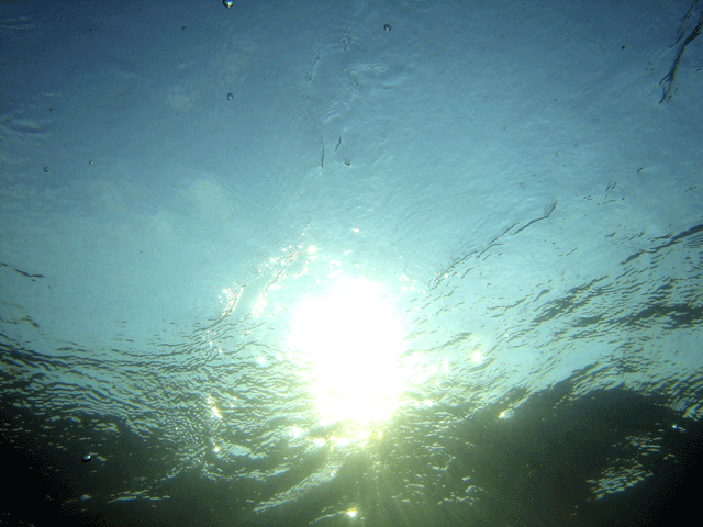 e0063003_13365279.gif