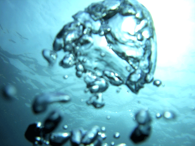 e0063003_1337398.gif