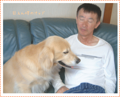 c0017311_11104327.gif