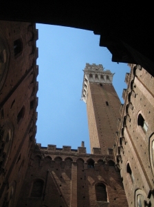 f0097620_187031.jpg