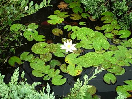 夏のバカンス　日本編　その６　「横須賀の景色」_f0095128_189525.jpg