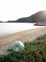 ＊この 贅沢＊　　2006,8,14　直島_a0030038_12344577.jpg
