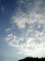 ＊この 贅沢＊　　2006,8,14　直島_a0030038_12345141.jpg