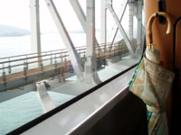 ＊カエル＊　　2006,8,17　愛媛～東京_a0030038_13312257.jpg