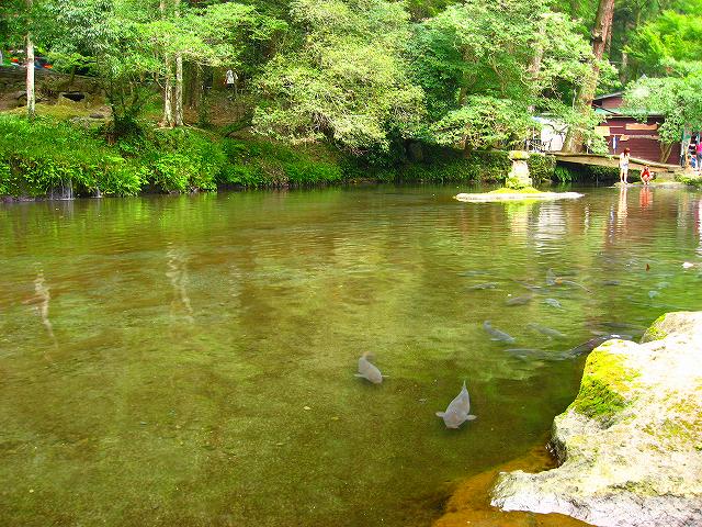 f0003851_17133735.jpg