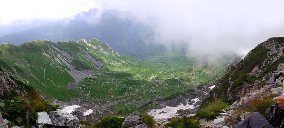 薬師岳・黒部五郎岳山行（生物編）_c0044569_1304859.jpg