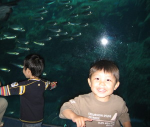 ５月１２日　江ノ島水族館_e0000175_12572631.jpg