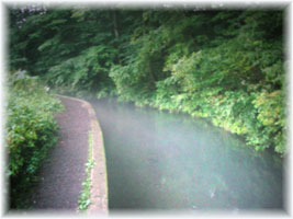 c0041105_23442925.jpg