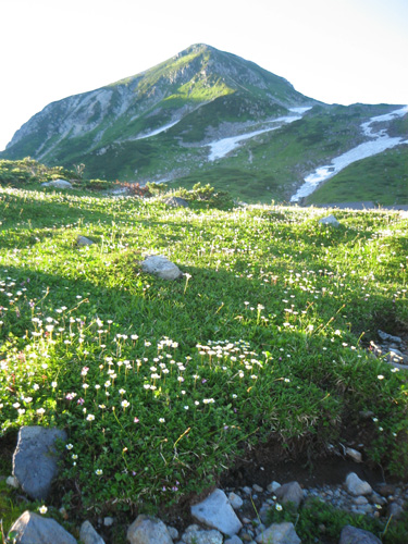 立山黒部に行ってきました。3_d0080906_1172445.jpg