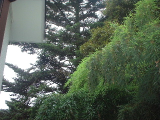 f0031037_17324072.jpg