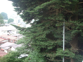 f0031037_17325261.jpg