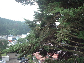 f0031037_17334427.jpg