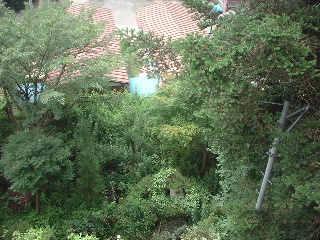 f0031037_17335383.jpg