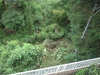 f0031037_17343337.jpg