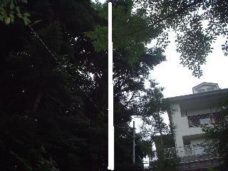 f0031037_17345323.jpg