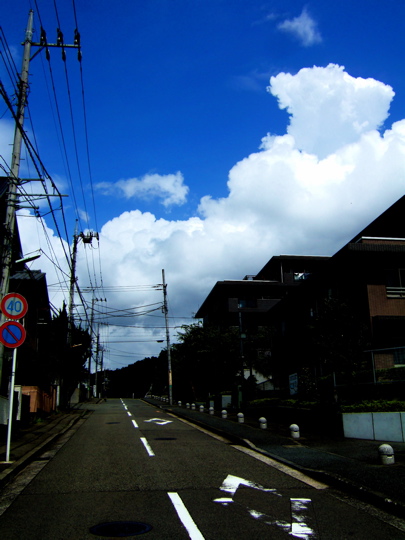 c0039145_13513236.jpg