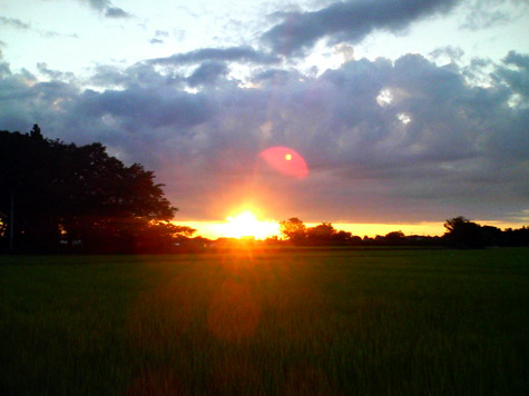 f0048547_16224365.jpg