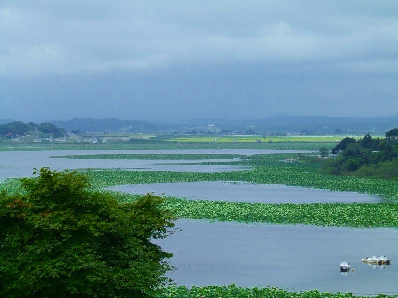 a0036649_013947.jpg