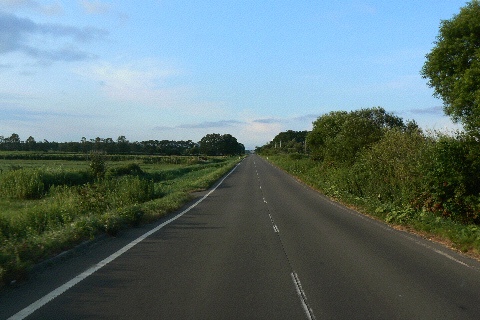 b0068572_1145214.jpg