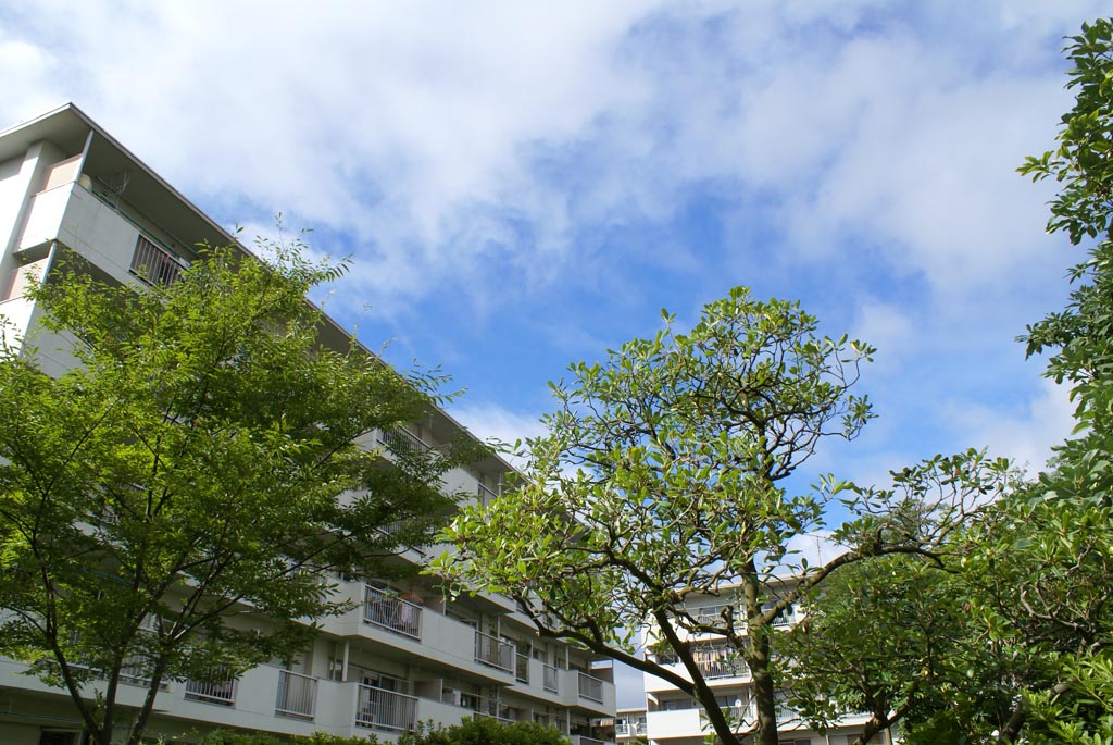 e0071178_0888.jpg