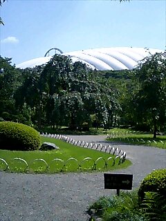 d0071590_22101915.jpg