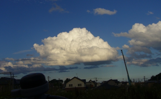 雷雨のあとに浮(ふ)わり_c0062295_0451786.jpg