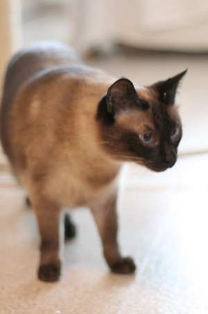 f0003598_22334515.jpg
