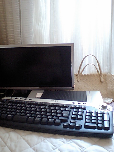 a0050302_10164511.jpg