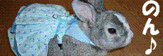 d0032004_21195640.gif