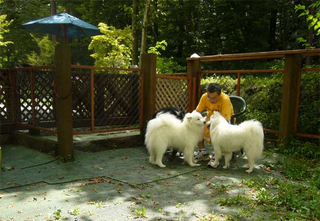 山中湖　無憂樹へ♪　　８月１９日　　土_e0018604_6655.jpg