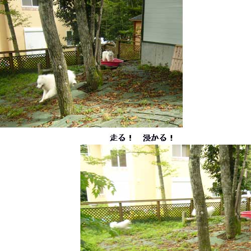 山中湖 無憂樹へ♪ 8月19日 土_e0018604_6733.jpg