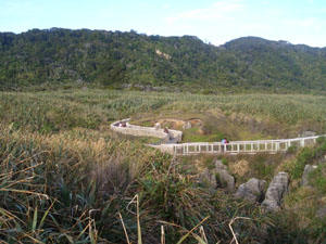 b0040606_19455386.jpg
