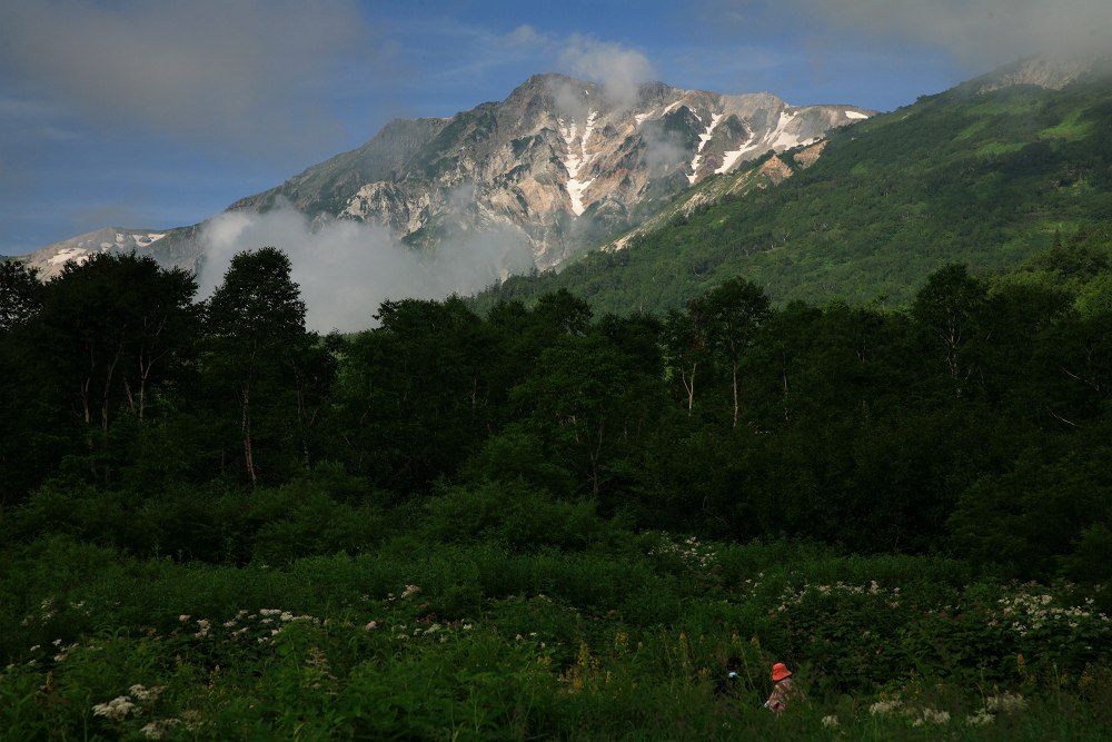 栂池の夏_c0065410_18304532.jpg