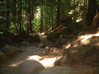 Lynn Canyon☆Suspention Bridge_e0090610_15275458.jpg