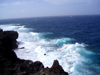 f0023210_2034443.jpg
