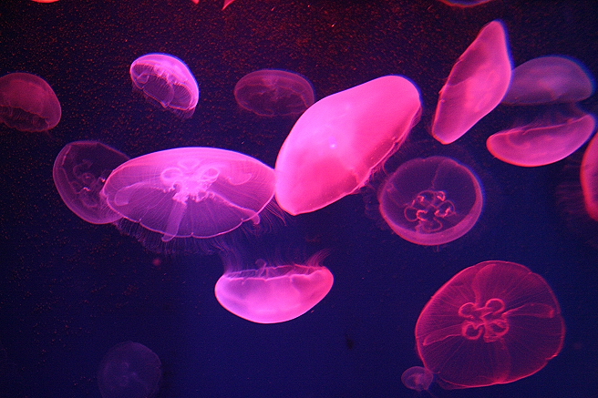 d0027320_22401475.jpg