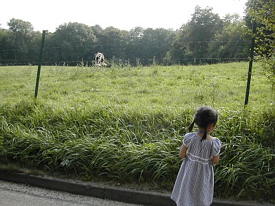 夏のバカンス旅行〰１日目_e0030921_22512179.jpg