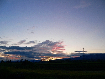 f0029038_2222418.jpg