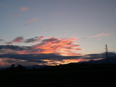 f0029038_2223518.jpg