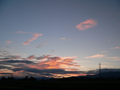 f0029038_2224475.jpg
