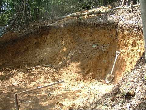 f0090444_22403110.jpg
