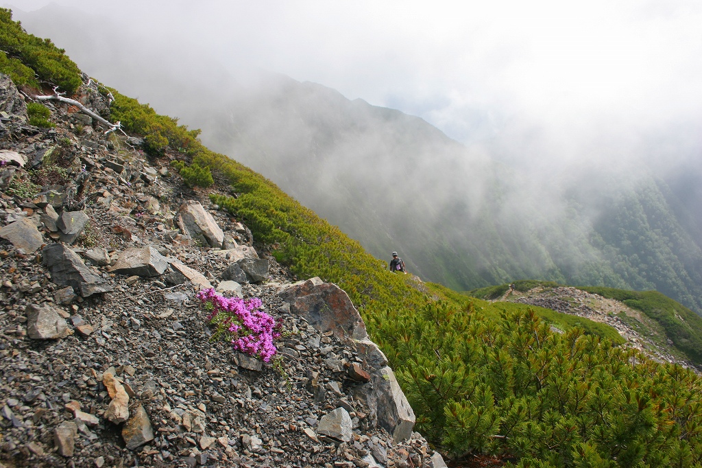 c0008948_0275214.jpg