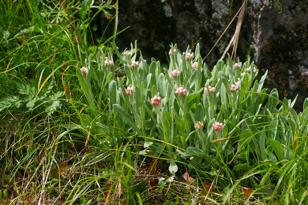 c0008948_0405244.jpg