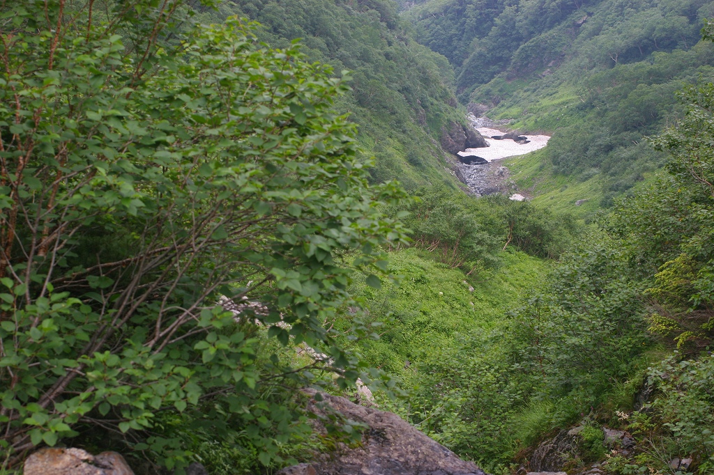 c0008948_0525213.jpg